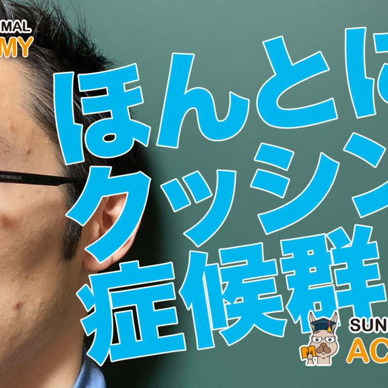 ほんとにクッシング症候群？