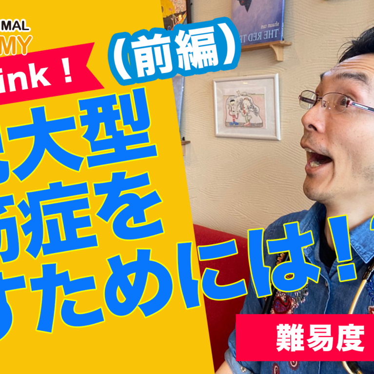 猫の時代だ！CFCとは？