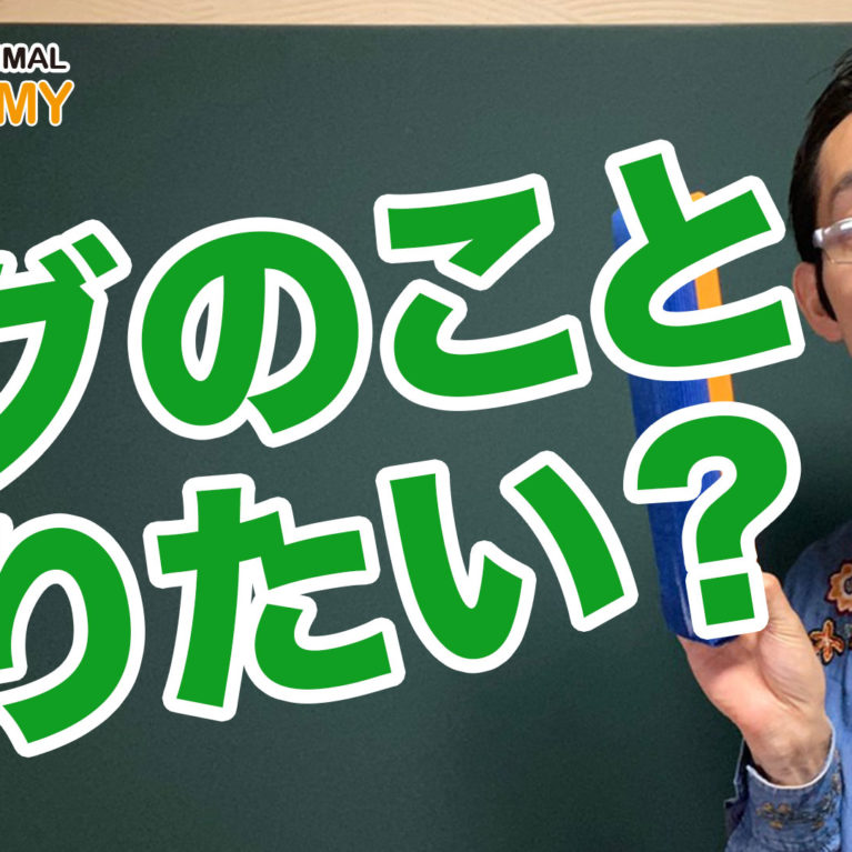パグの飼い方間違い過ぎ～犬種を知ってみよう！～