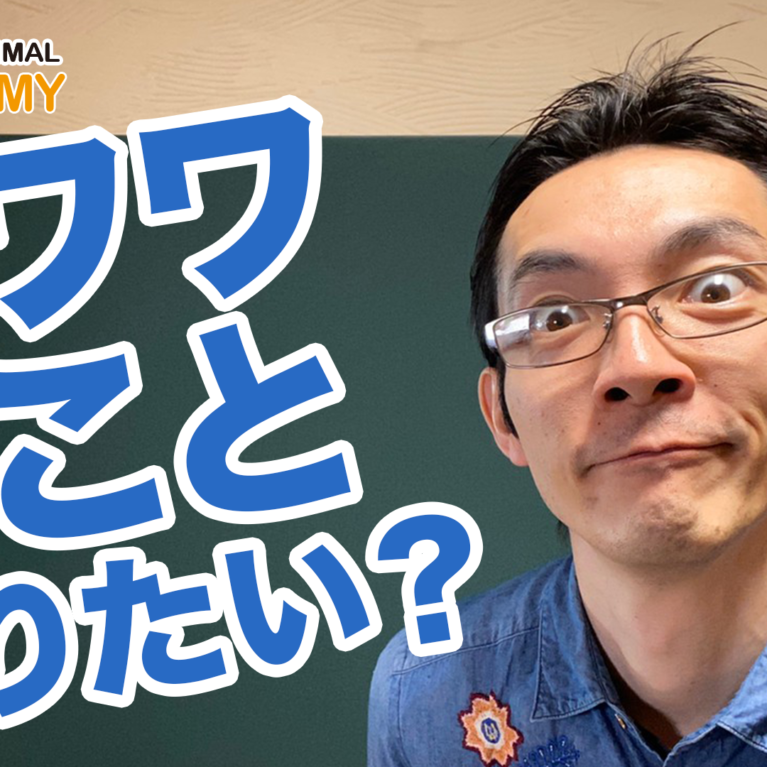 チワワを知ろう♪～犬種を知ってみよう！～