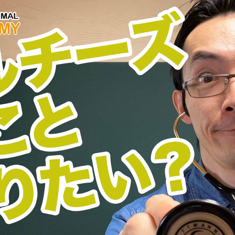 マルチーズの飼い方間違い過ぎ～犬種を知ってみよう！～