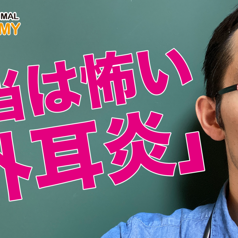 本当は怖い外耳炎の話