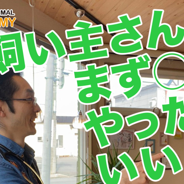 とりあえず、飼い主さんがまずやること