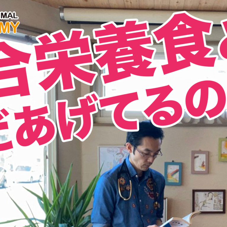 総合栄養食とかまだあげてるの〜？