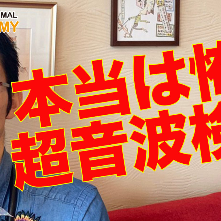 エコー検査、超音波検査のリスク