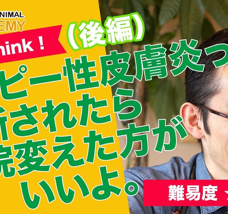 アトピー性皮膚炎って診断されたら、病院変えた方がいいよ~後編~