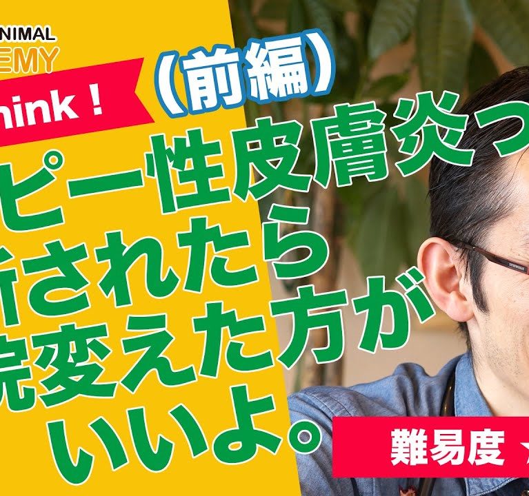 アトピー性皮膚炎って診断されたら、病院変えた方がいいよ~前編~