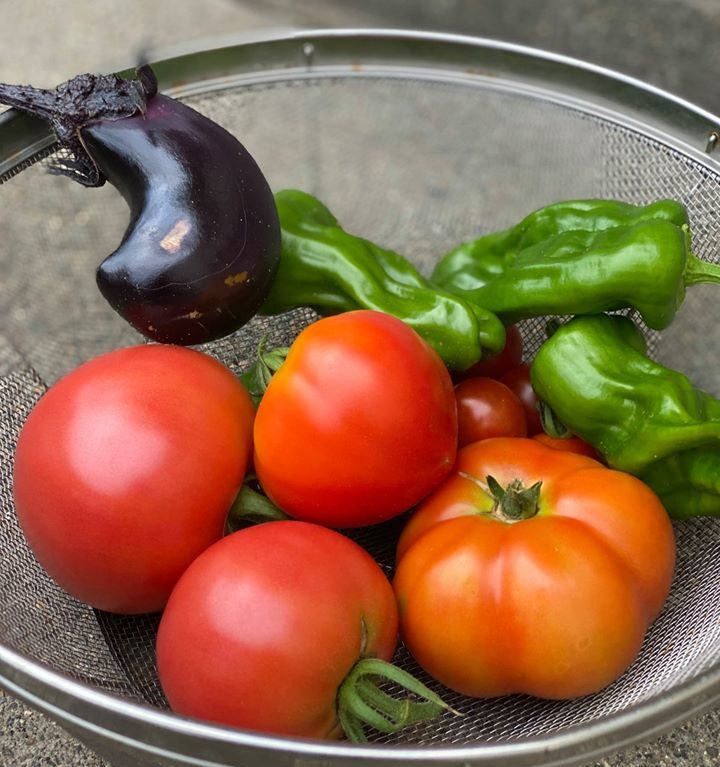 サニーズアニマルアカデミー週間日程表♪