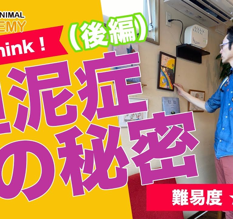 胆泥症の秘密〜後編〜