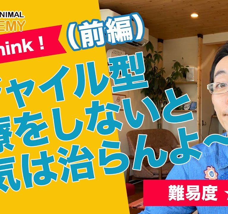 アジャイル型治療をしないと病気は治らんよ~前編~