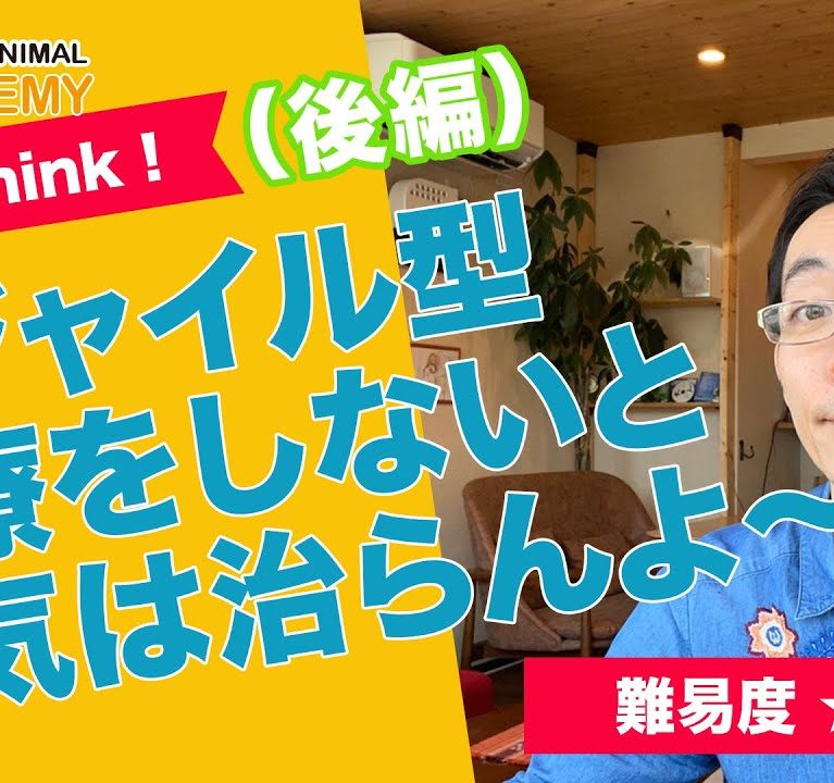 アジャイル型治療をしないと病気は治らんよ~後編~