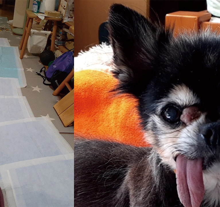 動物をもて遊ぶ〜サニクリ飼い主新聞