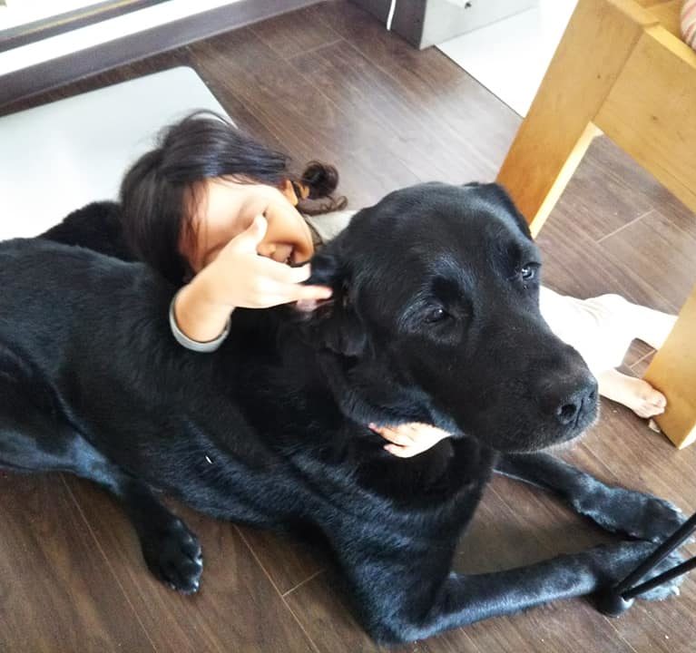 サニアカ飼い主新聞