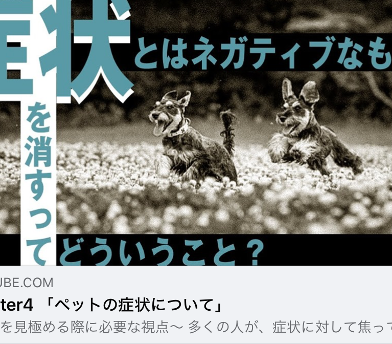サニアカ飼い主新聞〜2020.9.10〜