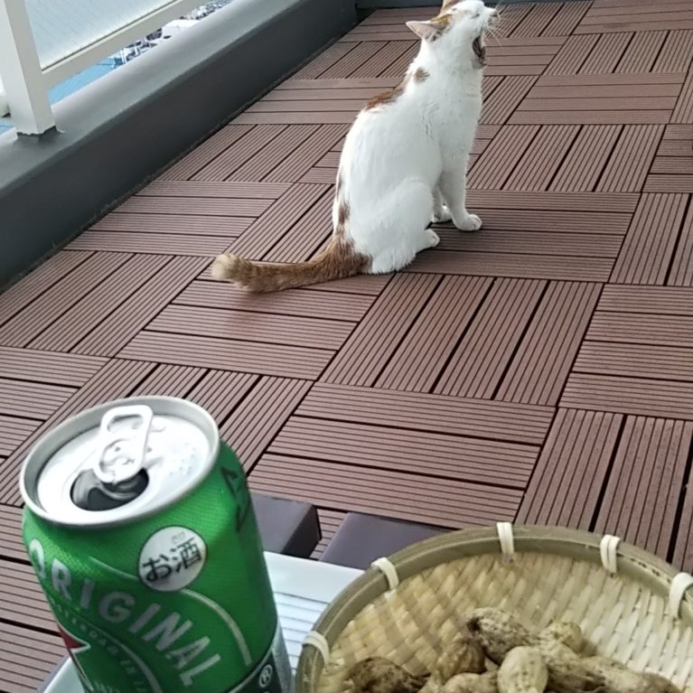 サニアカ飼い主新聞