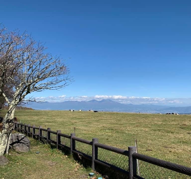 サニアカ飼い主新聞