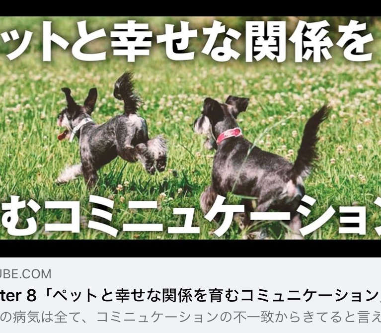 YouTube 柴ちゃんねる