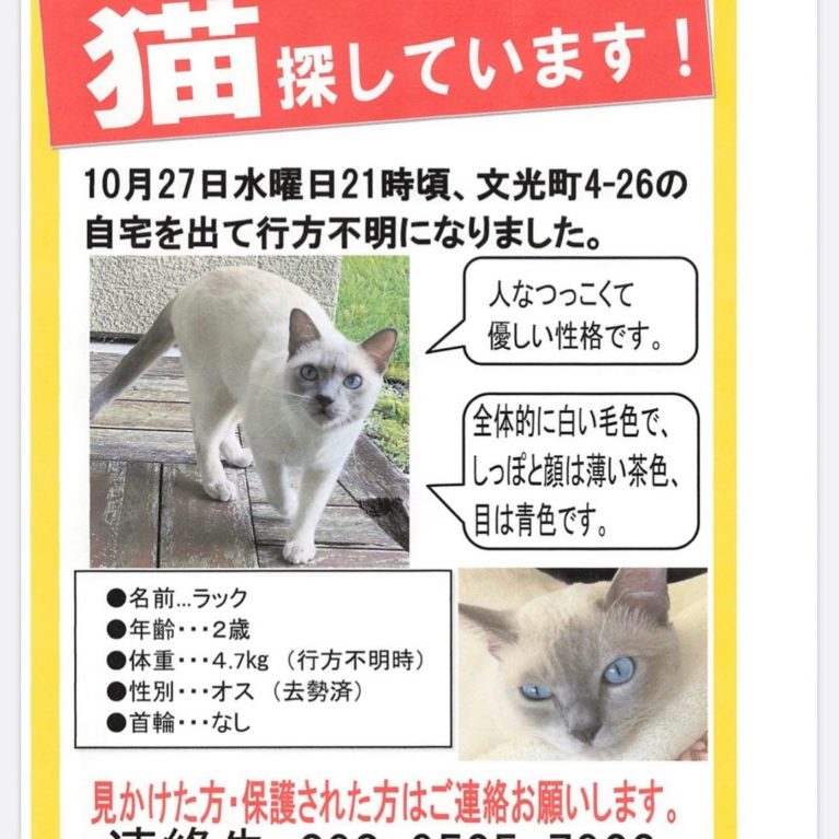 本人は今、どんな感じかな？