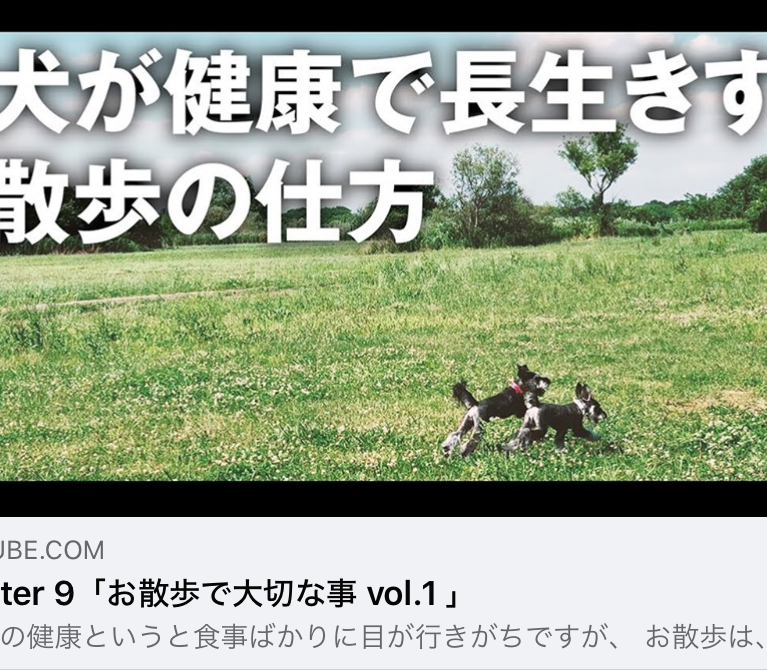 YouTube 柴ちゃんねる