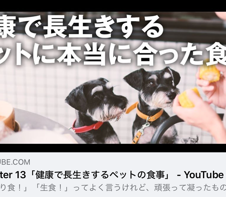 YouTube 柴ちゃんねる