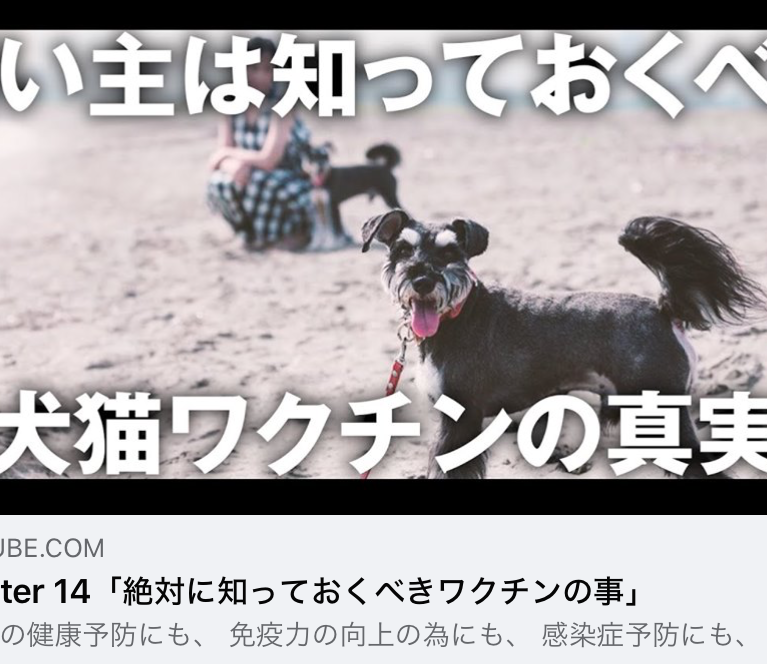 YouTube 柴ちゃんねる