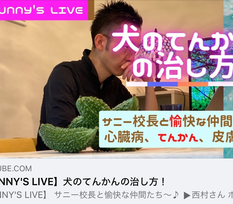 サニアカ飼い主新聞