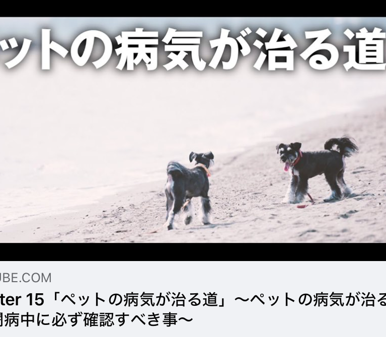 YouTube 柴ちゃんねる