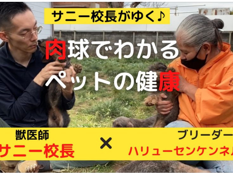 【サニー校長がゆく♪】