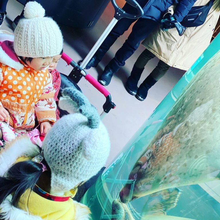 旭山動物園なう