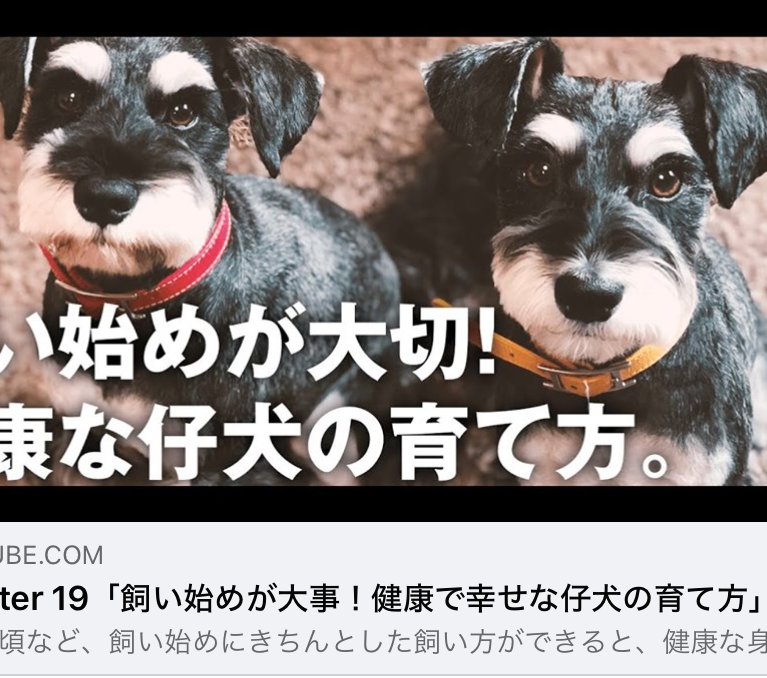 YouTube 柴ちゃんねる