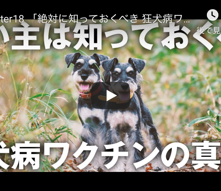【柴ちゃんねる】狂犬病ワクチン