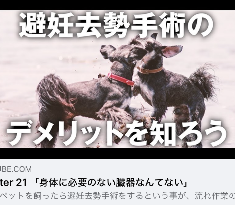 【YouTube 柴ちゃんねる】