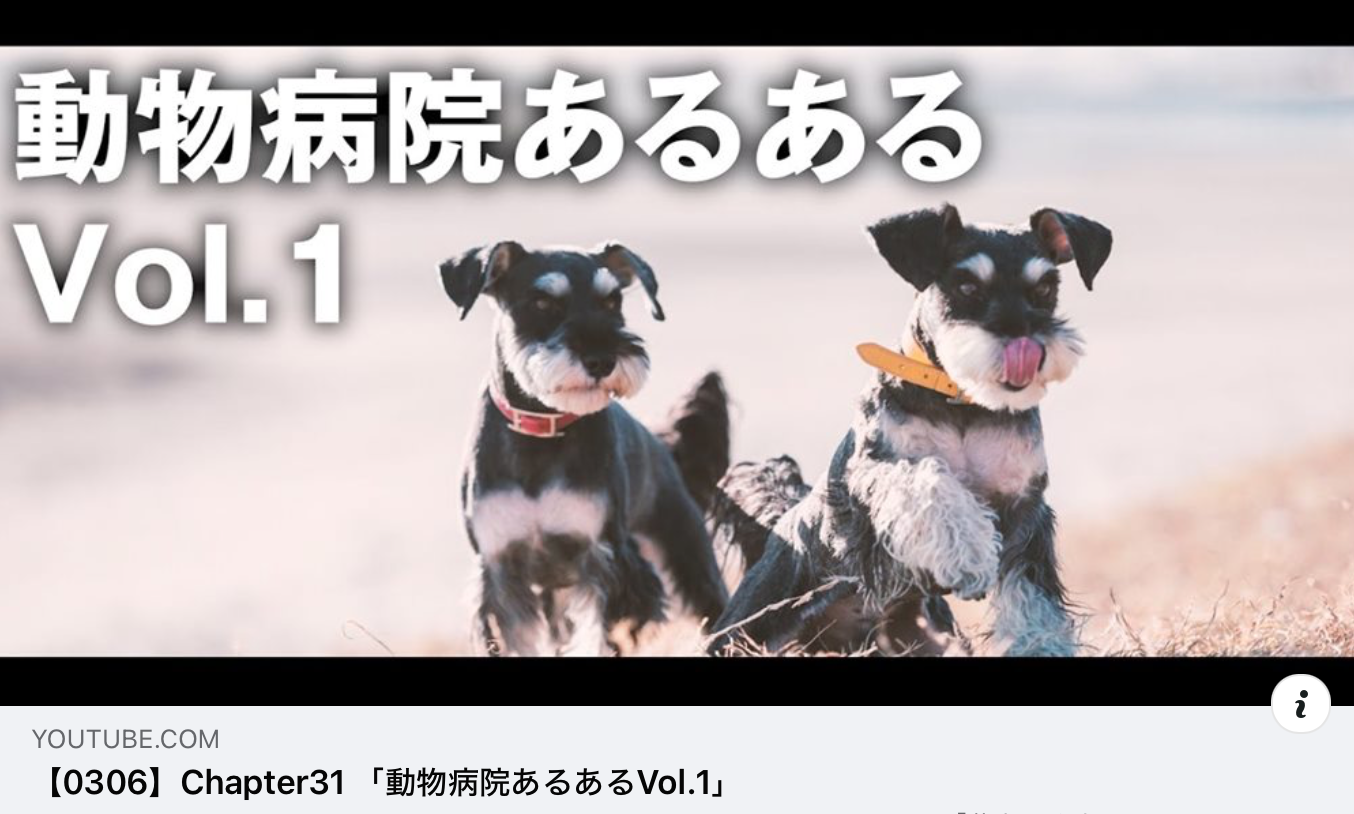Youtube 柴ちゃんねる サニーズアニマルクリニック