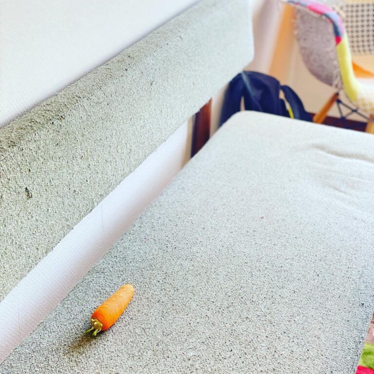 あれ?書斎の椅子に