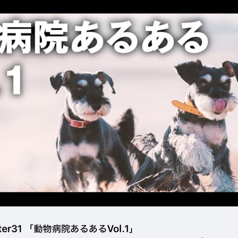 YouTube 柴ちゃんねる