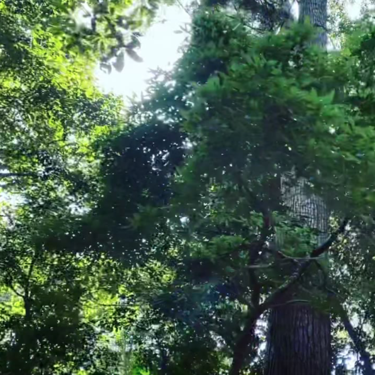 高尾山にて母親の誕生日